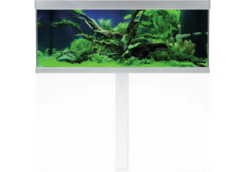 2ekans Akvastabil Fusion 130 | 325L | 130 x 50 x 54CM Wit