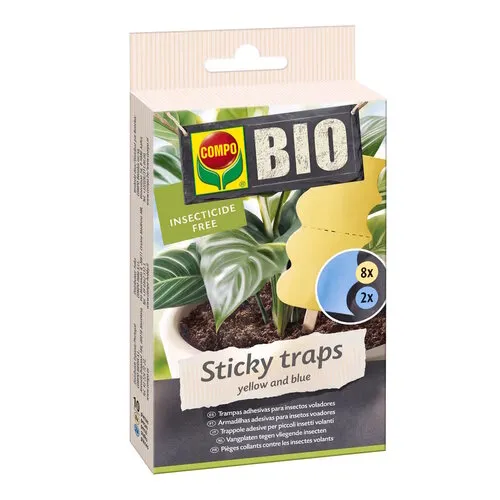 COMPO BIO Sticky Traps | insecticidevrije lijmvallen tegen vliegende insecten