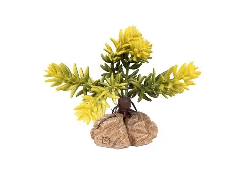 Terra Della Woestijnplant Sedum morganianum groen | terrarium kunstplant