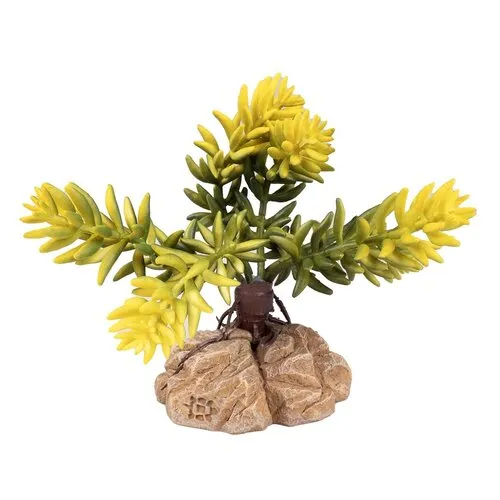Terra Della Woestijnplant Sedum morganianum groen | terrarium kunstplant