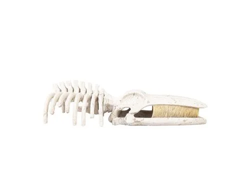 Aqua D'ella Walvisskelet aquarium ornament beige