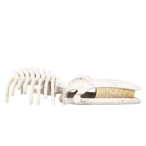 Aqua D'ella Walvisskelet aquarium ornament beige