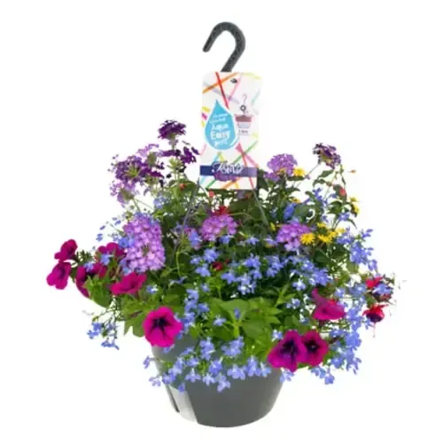 Junai.nl Hanging Basket mix | 27 cm pot | geleverd in hangpot | verkoop per stuk