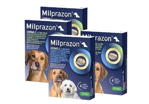 Milprazon Smakelijke worm kauwtabletten voor honden