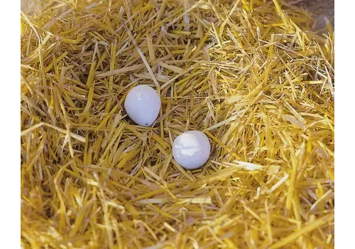 Kerbl Nesteieren van klei voor kippen | 2 stuks