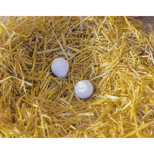 Kerbl Nesteieren van klei voor kippen | 2 stuks