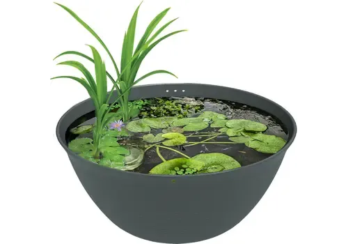 SuperFish Medaka bowl 600 | mini vijverkom 36 liter
