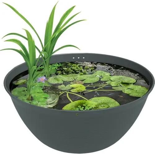 SuperFish Medaka bowl 600 | mini vijverkom 36 liter