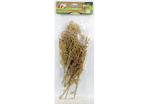 ESVE Corn Grass | maisgras foerageersnack