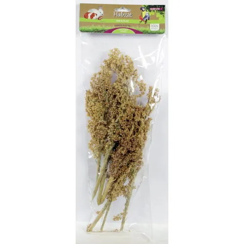 ESVE Corn Grass | maisgras foerageersnack