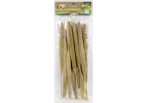 ESVE Babla Plant foerageer- en knabbelstengels | 10 stuks