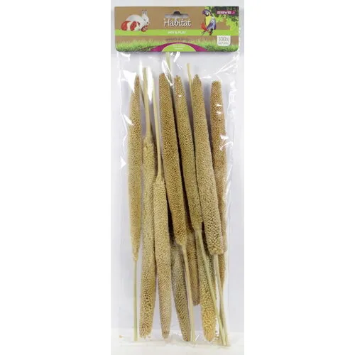 ESVE Babla Plant foerageer- en knabbelstengels | 10 stuks