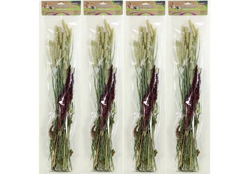 ESVE Pet Bouquet Knabbelstruik