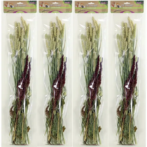 ESVE Pet Bouquet Knabbelstruik