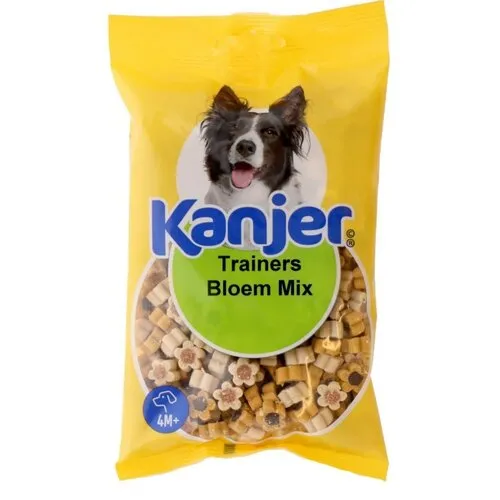 Kanjer Trainers Bloem Mix