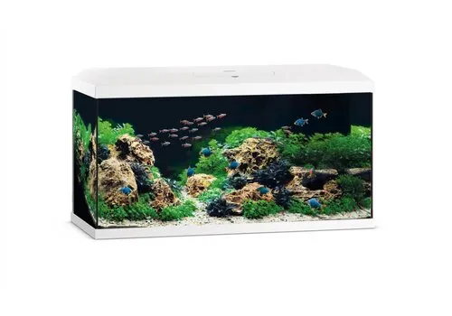 Juwel Primo 110 | 110L | 81 x 36 x 45CM Wit