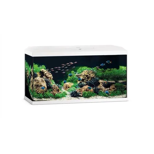 Juwel Primo 110 | 110L | 81 x 36 x 45CM Wit