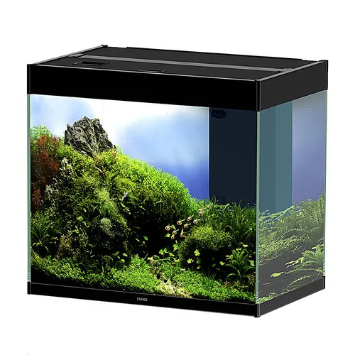 Ciano Emotions pro 120 | 239L | 121,2 x 40,2 x 61CM Zwart