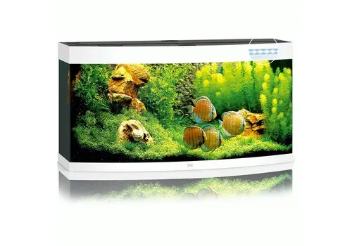 Juwel Vision 260 LED | 260L | 121 x 46 x 64CM Wit