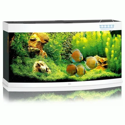 Juwel Vision 260 LED | 260L | 121 x 46 x 64CM Wit