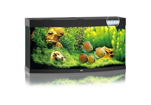 Juwel Vision 260 LED | 260L | 121 x 46 x 64CM Zwart