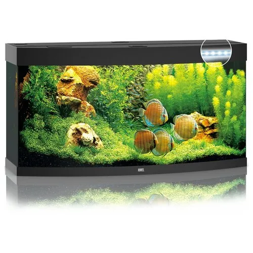 Juwel Vision 260 LED | 260L | 121 x 46 x 64CM Zwart