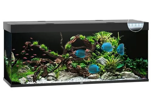 Juwel Rio 450 LED | 450L | 151 x 51 x 66CM Zwart