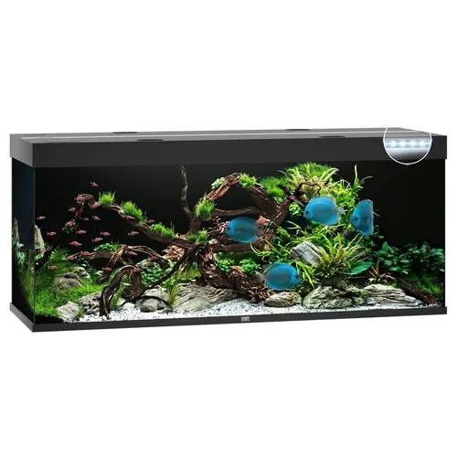Juwel Rio 450 LED | 450L | 151 x 51 x 66CM Zwart