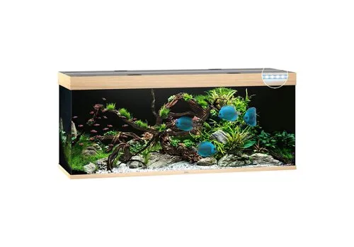 Juwel Rio 450 LED | 450L | 151 x 51 x 66CM Lichthout