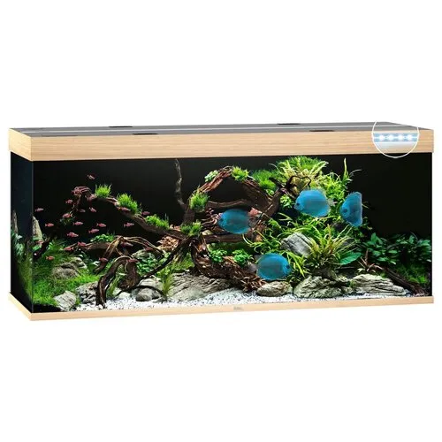 Juwel Rio 450 LED | 450L | 151 x 51 x 66CM Lichthout