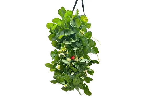 JUNAVERA Fragaria Hanging | hangende aardbei zak | ca. 30 cm | verkoop per stuk
