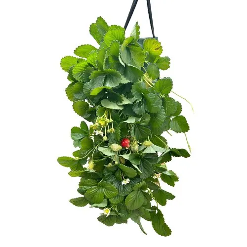 JUNAVERA Fragaria Hanging | hangende aardbei zak | ca. 30 cm | verkoop per stuk