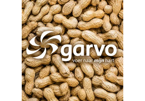 Garvo Pinda’s in de dop (5349)