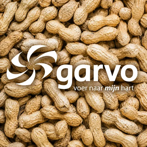 Garvo Pinda’s in de dop (5349)