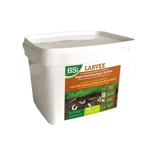 BSI Larvex strooikorrels