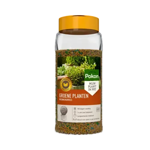 Pokon Groene planten voedingskorrels