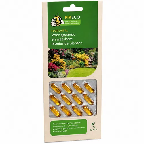 Pireco FoliseVital 12 Capsules