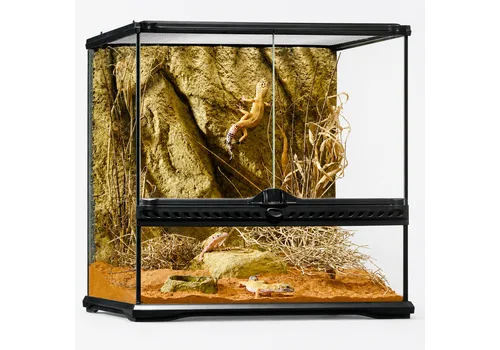 Exo Terra Glazen terrarium met achterwand