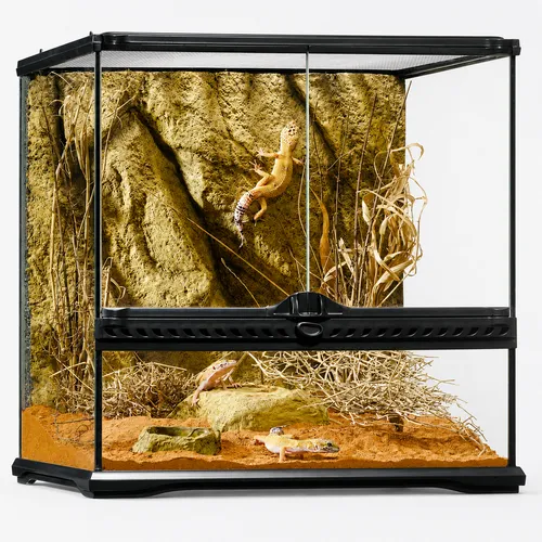 Exo Terra Glazen terrarium met achterwand