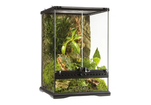 Exo Terra Glazen terrarium met achterwand