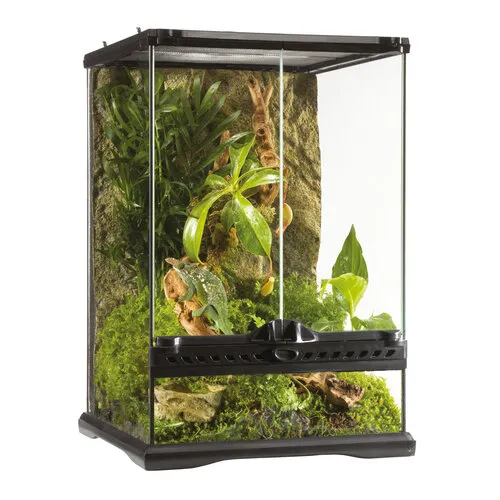 Exo Terra Glazen terrarium met achterwand
