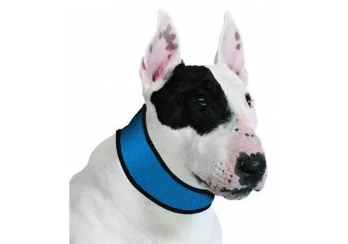 Junai.nl Verkoelende hondenhalsband Pacific Blue maat M