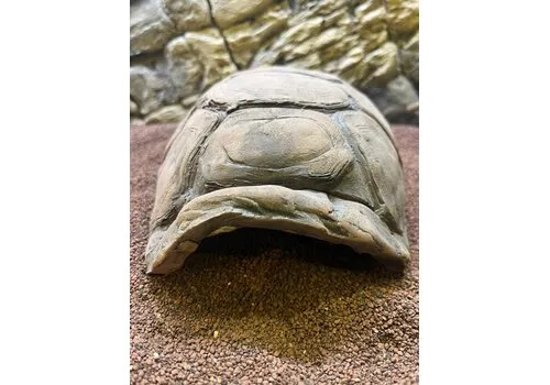 CeramicNature Schildpad grot medium