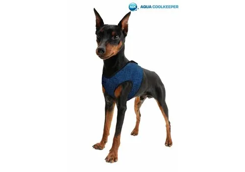 Junai.nl Koelend hondentuig blauw