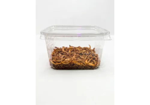 NutriPrey Levende voederwormen mix