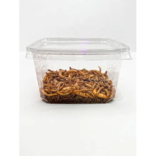 NutriPrey Levende voederwormen mix