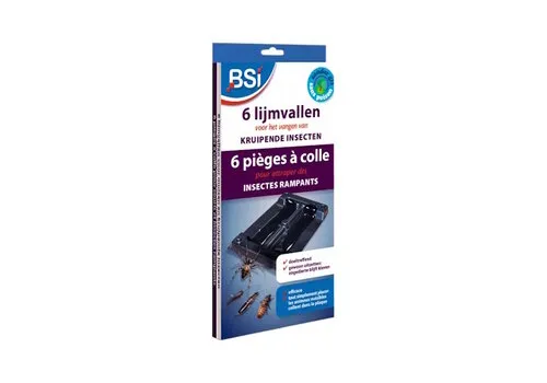 BSI 6 lijmvallen voor ongedierte