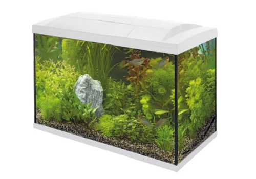 2ekans Superfish Start 150 Tropical Kit | 153L | 78 x 39 x 55 CM Wit
