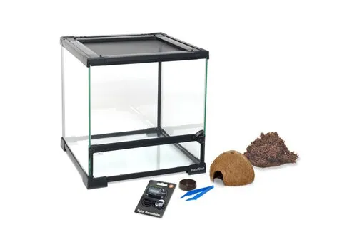 HabiStat Spinnen Starter Kit | 30 x 30 x 32CM