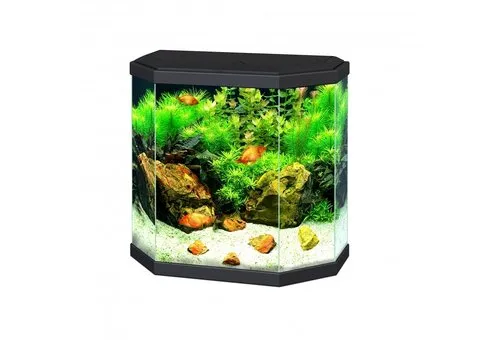 2ekans Ciano Aqua 30 LED | 25L | 40 x 20 x 45,5CM Zwart
